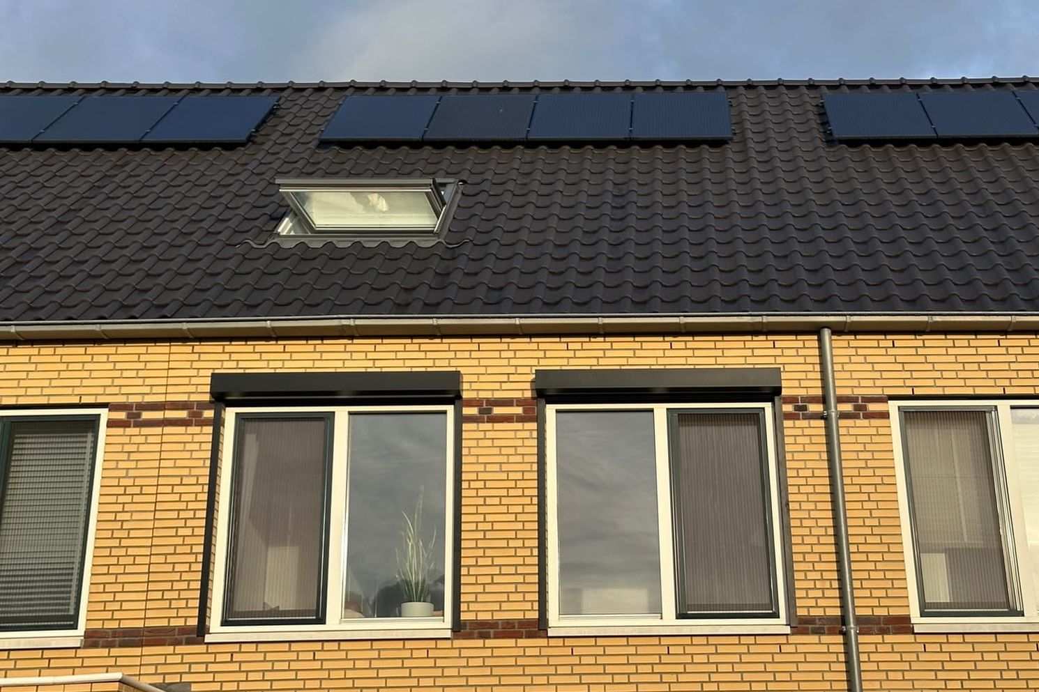 Het dak met dakraam, voor de verbouwing